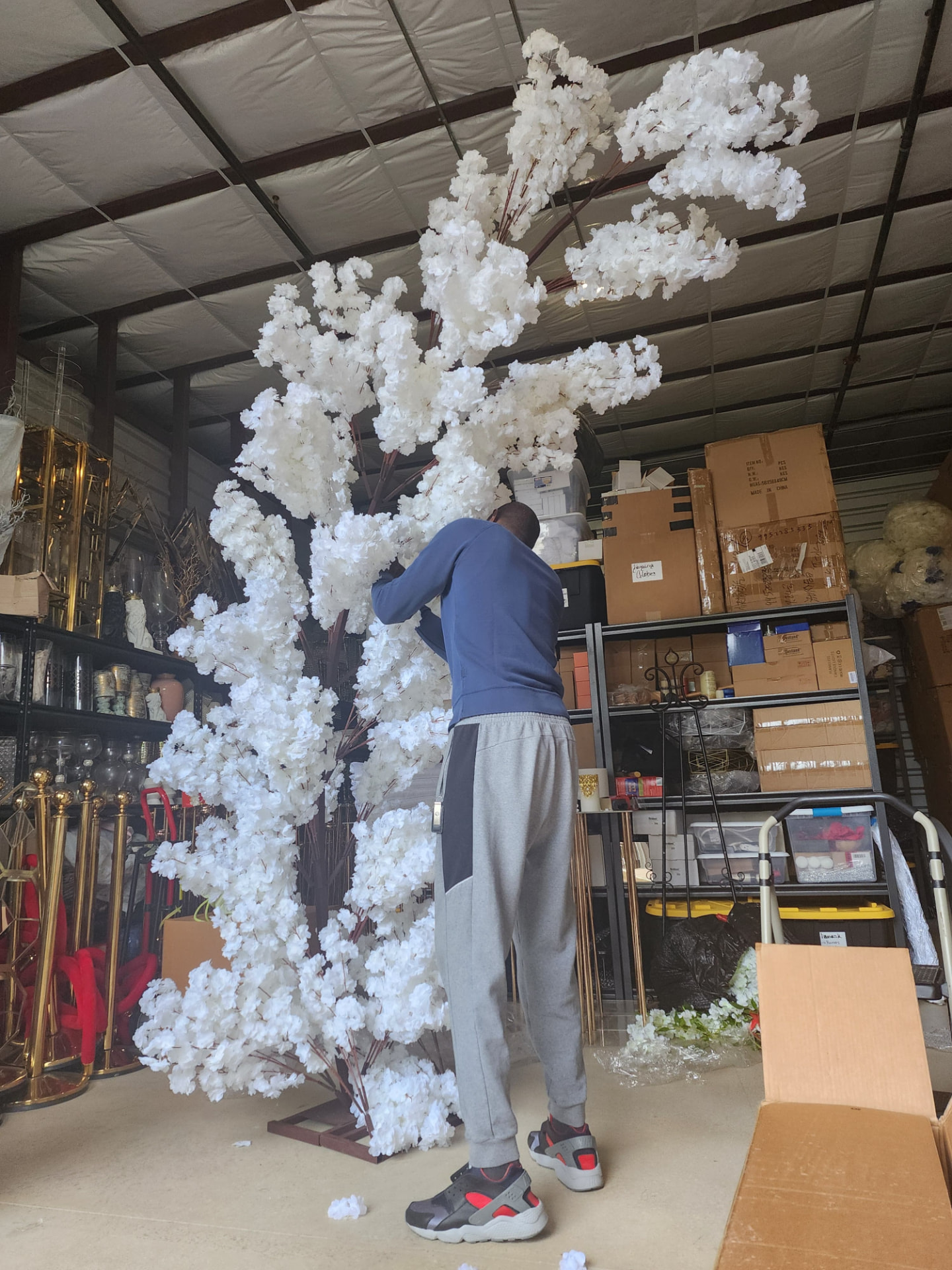 Cherry Blossom Install